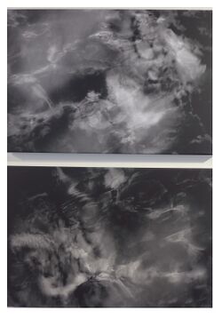 Zwach 2018 2 21 Stelzer Aus dem Zyklus Viele Stimmen.jpg