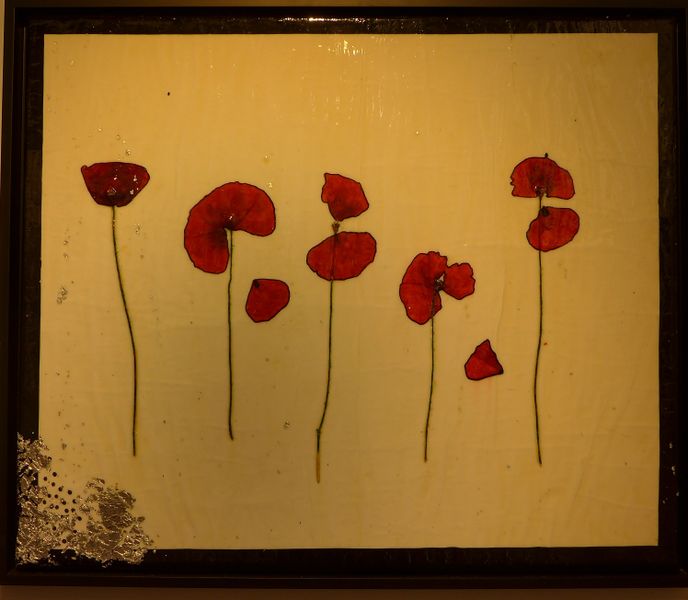 Datei:Zwach 2019 5 7 E Schobesberger poppys OT4.JPG