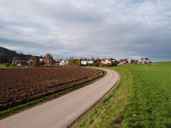 Unterdorf haining 2012.jpg