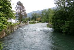 Seeache in Unterach.jpg