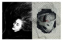 ZZ 2020 8 Paier Palme.jpg