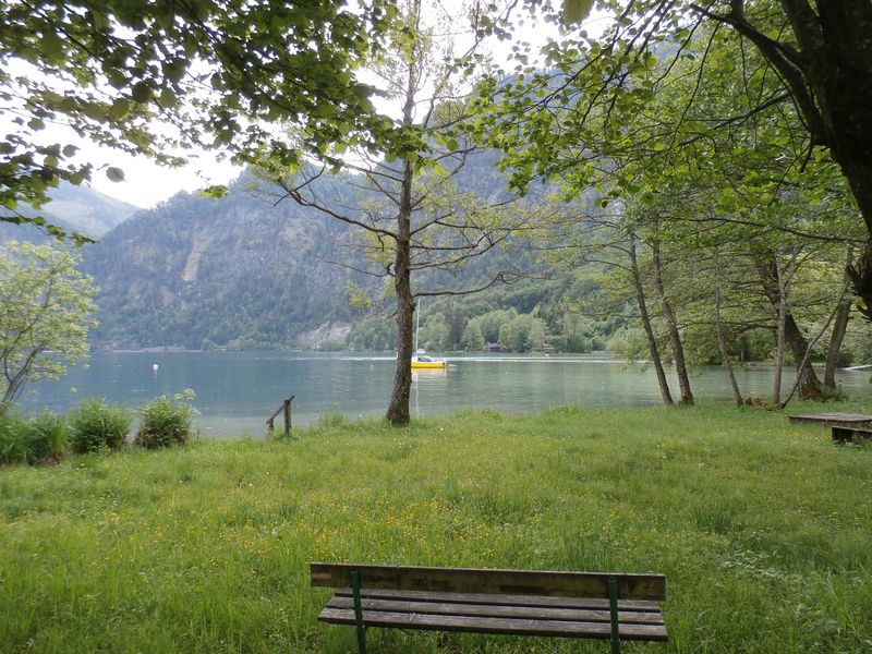 Datei:Einmündungszone der Seeache in den Attersee.jpg