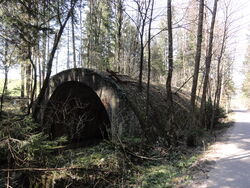 Brücke der Reichsautobahn bei Oberaschau-Oberwang.JPG