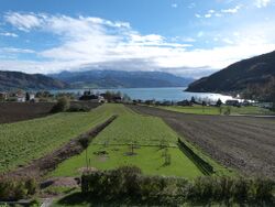 Aussicht haining.jpg