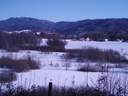 Gerlhamer Moor im Feb 2010 von N.jpg