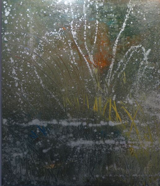 Datei:Zwach 2019 6 3 Heidorn reproduction I.JPG