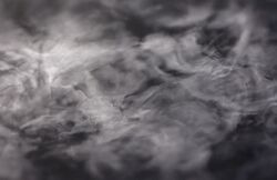 Zwach 2018 2 20 Stelzer Aus dem Zyklus Viele Stimmen.jpg