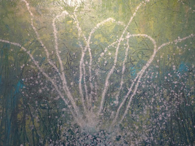 Datei:Zwach 2019 6 4 Heidorn behind the reeds.JPG