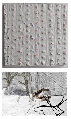 Seiser Mz Apr 2021.jpg