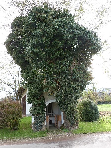 Datei:Kapelle haining.jpg