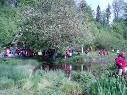 KinderamTeich Mai 2010.jpg