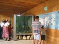 Besucher im Aquarium