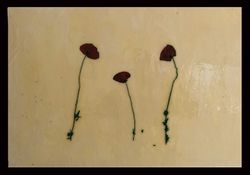 Zwach 2018 7 1 Erich Schobesberger.jpg