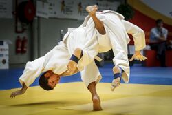 2017 08 11 Imagebild-Judo 2.jpg