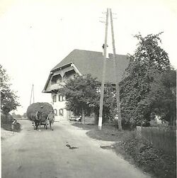 Niedermayr1950.jpg