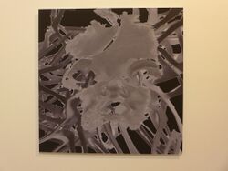 Zwach 2015 10 Rohringer Face.JPG