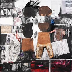 H Rohringer Foto 3 Hautschatten.jpg