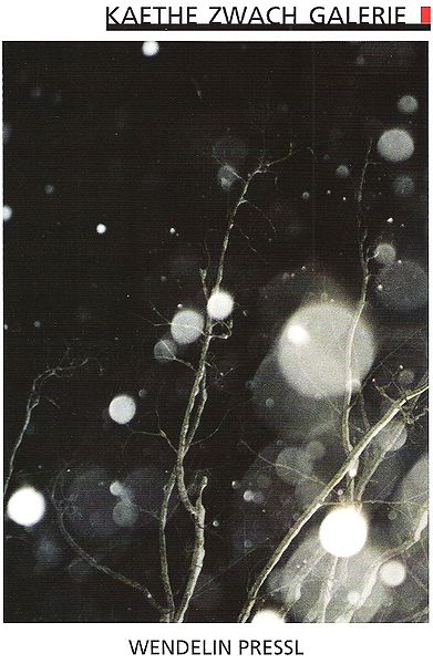 Datei:Zwach 2012 5 1.jpg