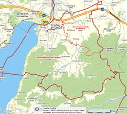 RZ DORIS ORT SHO.JPG