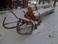 Hörnerschlitten.jpg