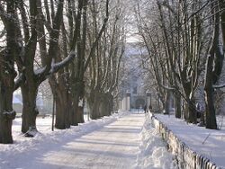 Kamm Wi SG 02 2006 Rz.JPG