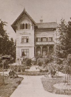 Villa Wimmer 1893.jpg