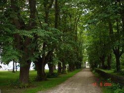 SchlossKammer JUNI05-2 116.JPG