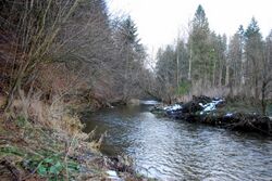 DUERREAGER DSC 0185.JPG