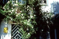 Lederermayerhaus Eingang.jpg