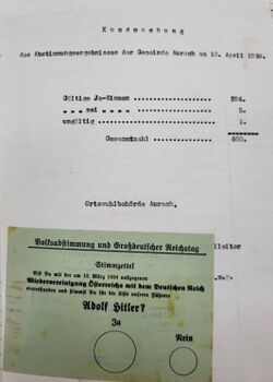 Abstimmung-Aurach.jpg