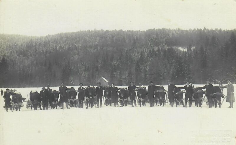 Datei:Holztransport in Austiegl.jpg