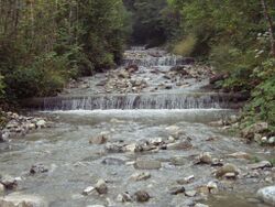 AlexenauerBach P9010076.JPG