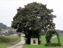 Wimmer-Kapelle St. Georgen.jpg