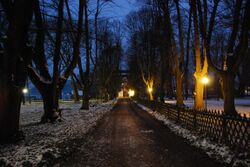 SchlossKammer DSC 2490.JPG