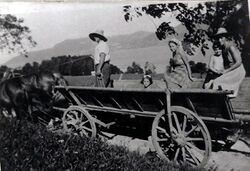 Leiterwagen 1956.JPG