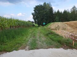 Beginn-Grafenweg.jpg