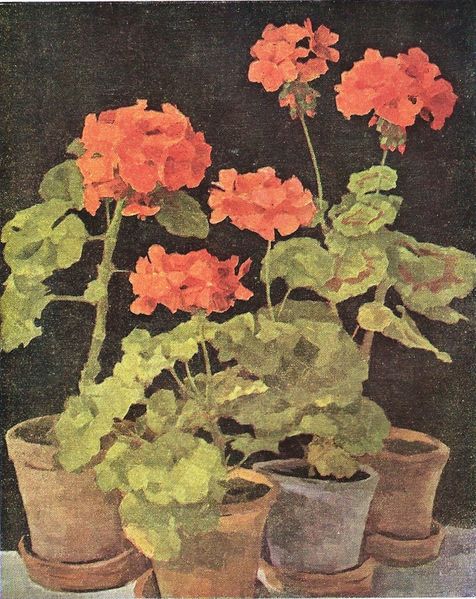Datei:Zerlacher Pelargonien.jpg