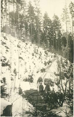 HolzbringungHornaschl1950.jpg