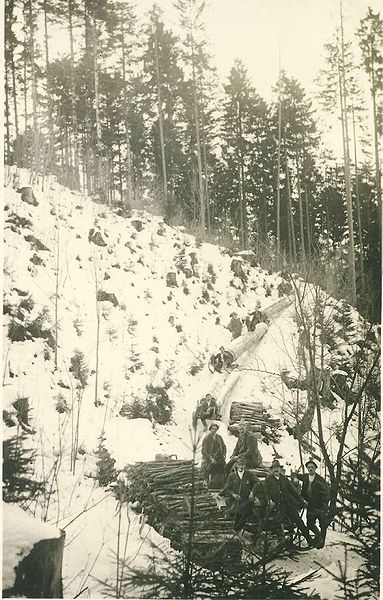 Datei:HolzbringungHornaschl1950.jpg