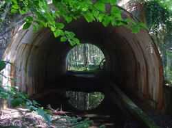 A1 Bruecke Oberaschau.jpg