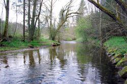 DuerreAger DSC 5424.JPG