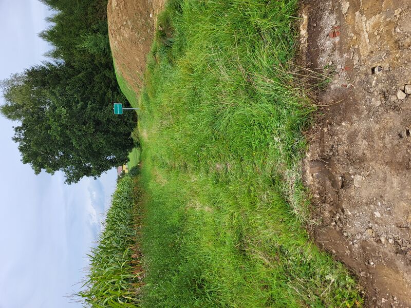 Datei:Weg zum Schiermayr-Wald.jpg