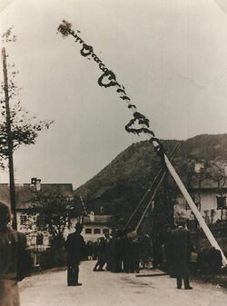 Maibaum1948.JPG