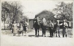 Schachinger Hainbach13.jpg