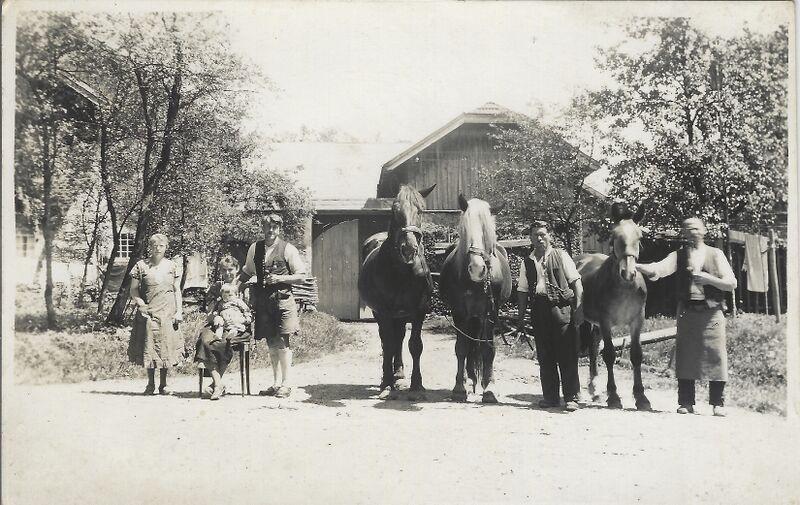 Datei:Schachinger Hainbach13.jpg