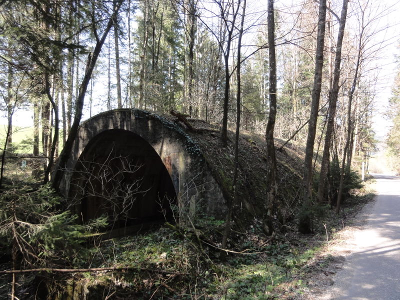 Datei:Brücke der Reichsautobahn bei Oberaschau-Oberwang.JPG