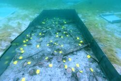 201704 Weyregg Zeitensprung6.jpg