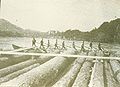 Schiffsbauholz vom Attersee auf der Donau um 1900