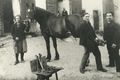 Das Beschlagen der Pferdehofe beim Schmied in Nußdorf war 1936 neben der Herstellung von Eisenteilen, Werkzeug und Beschlägen eine wichtige Tätigkeit.