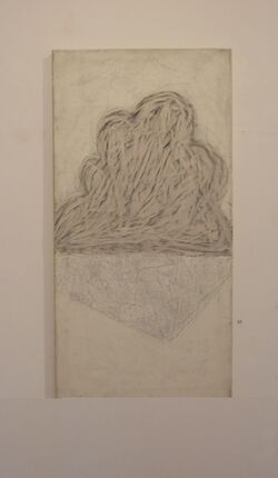 Zwach 2013 3 3 Tone Fink.JPG